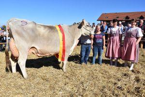 5 Schneuter mittlere